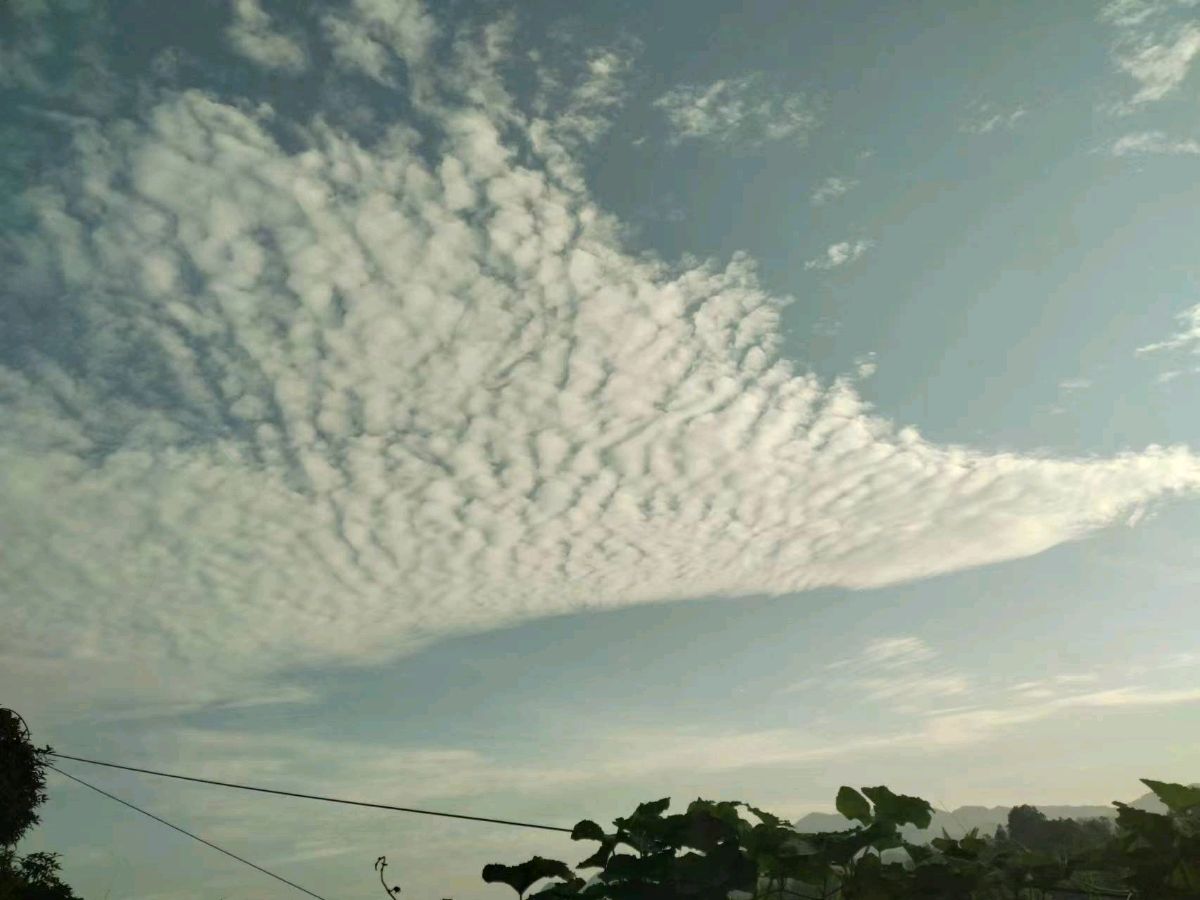 贺东东（墨流）七绝十首（图2）