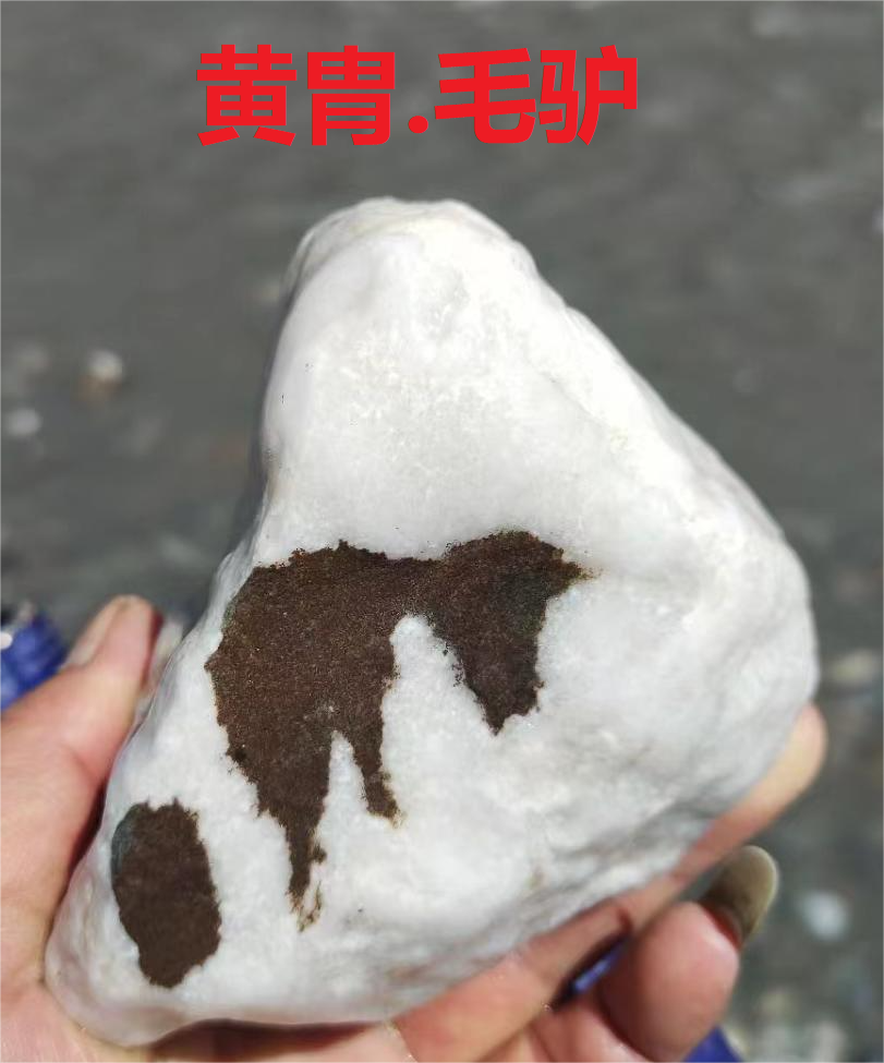 乡愁～诗||轩源（图18）