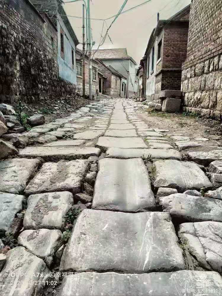 图片15 图片15