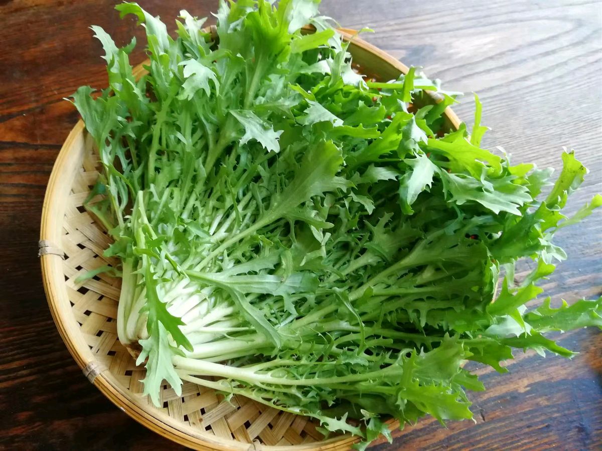 【国风湖南】第49期 苦（图3）