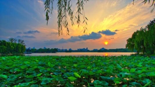 《欣赏夏天》作者/思凡 主播/丽丽 主编/胡琴