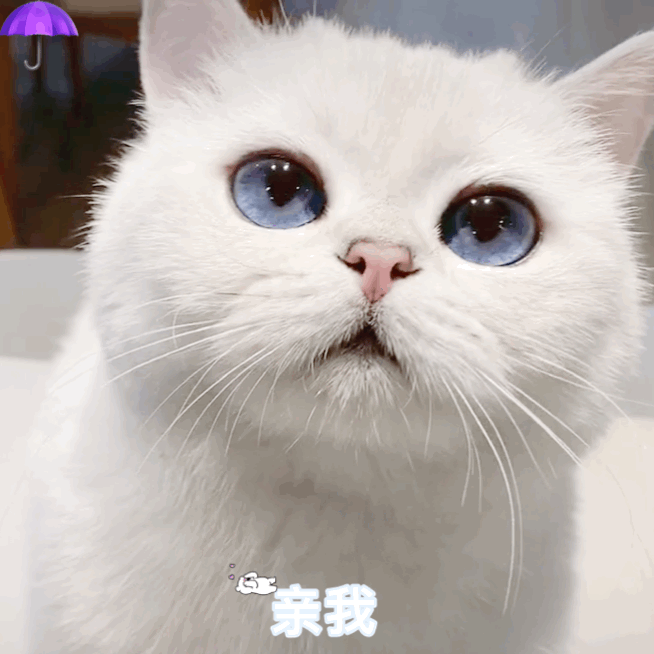 【枫雅汇看图约诗】诗人焦勇《357期》《说猫》(图6)