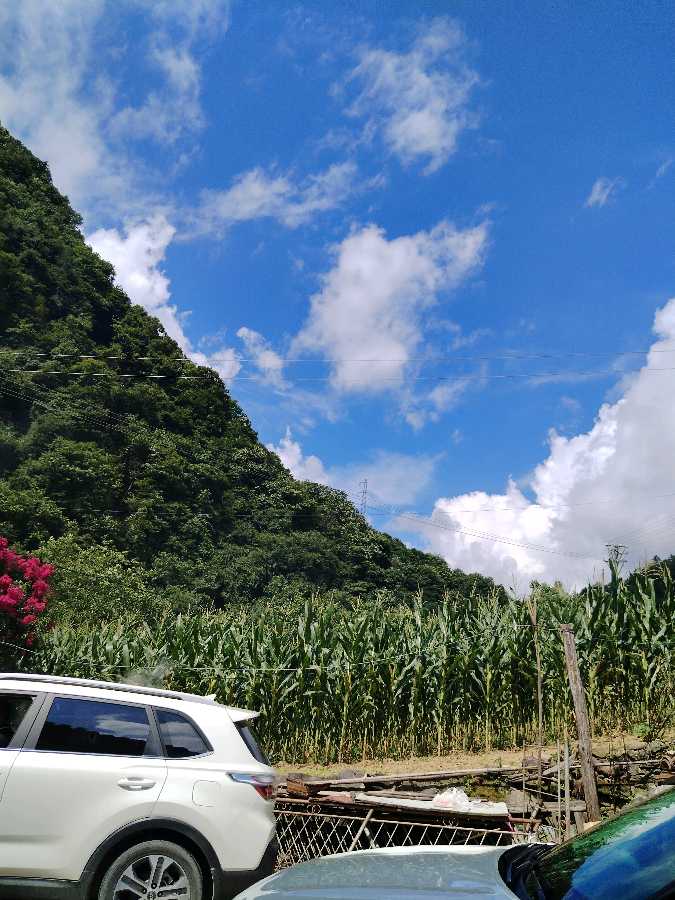 品出“书香”始入“境”