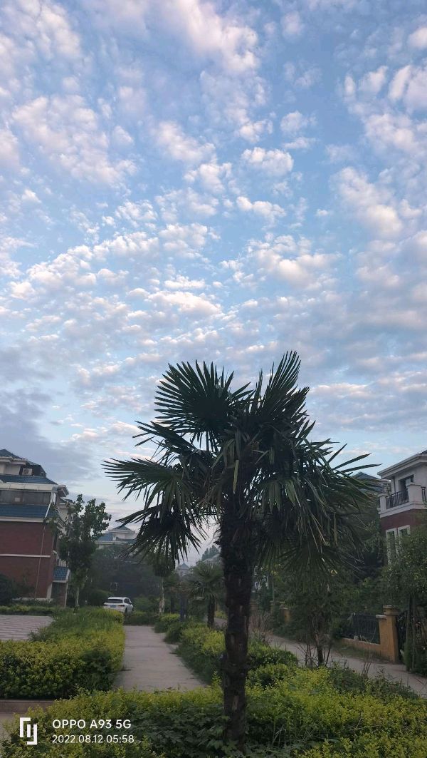 夏日里的彩云天（图9）