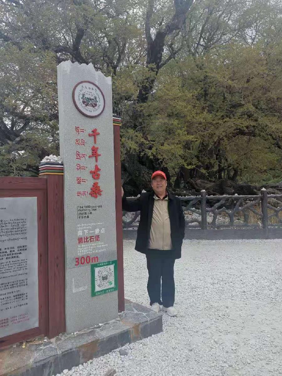 【中华好诗词】分享（江苏南京）著名诗人方少春老师《江南柳》格律诗一组请欣赏（图11）