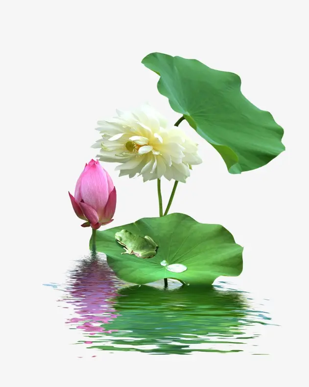 用神经导能疗法撑起一片健康的蓝天（文/孙述考）/神经导能疗法——一种崭新的健康守护之道（文/王保江）……莲叶之珠文学社（图6）