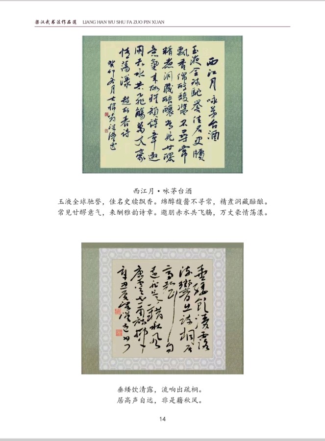 胡杨（梁汉武）书法作品选（图33）