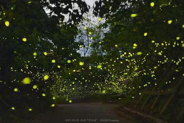七绝·夏夜远望（文/冯清明）……莲叶之珠文学社（图4）