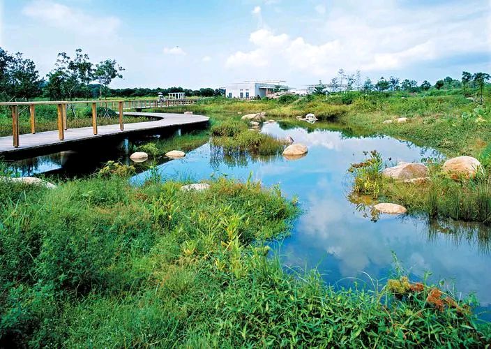 欣赏刘国星老师绝句四首·湿地公园小趣（图2）