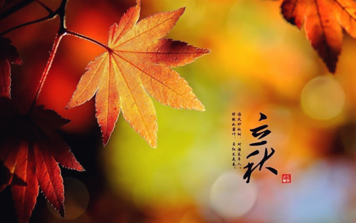 【每周好诗(2)】芍药花 文/独舞风铃（图13）
