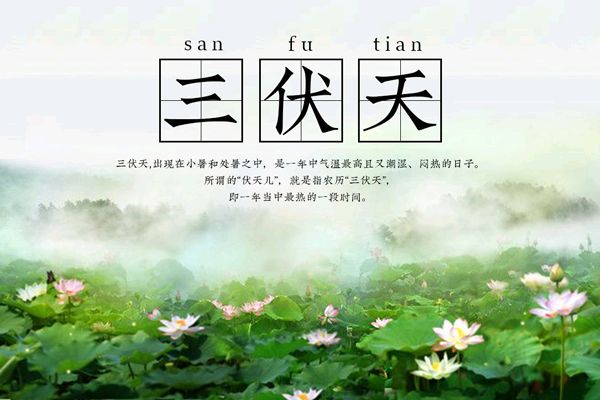 藏头诗:静心安然度三伏文/王俊杰(天津）（图3）