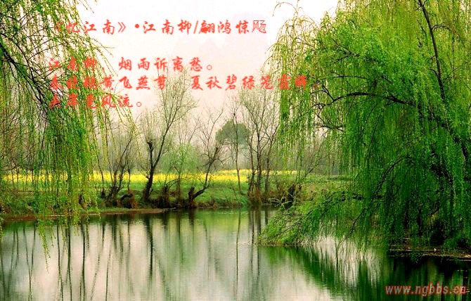 《为君十赋鹧鸪天》作者:龙游天下 配乐:《诗画音乐》 [中国现代诗歌文化传媒]（图17）
