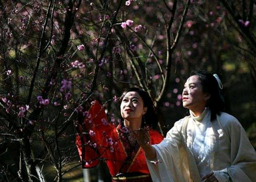 《为君十赋鹧鸪天》作者:龙游天下 配乐:《诗画音乐》 [中国现代诗歌文化传媒]（图14）