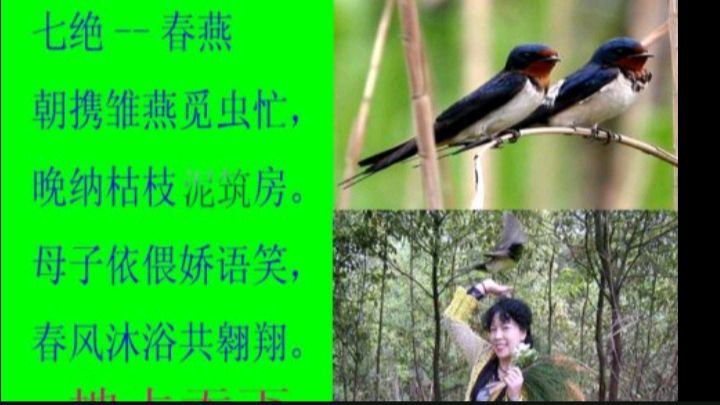 《为君十赋鹧鸪天》作者:龙游天下 配乐:《诗画音乐》 [中国现代诗歌文化传媒]（图11）