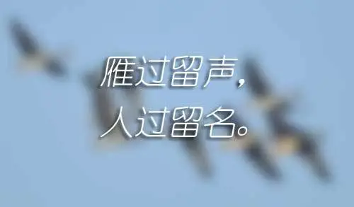 杨自坤‖七夕缅怀·孙成明医生(图8)