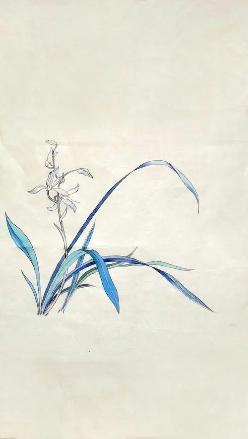 咏花系列之三:满庭芳·兰花‖巴彦诗词楹联协会【736】（图3）