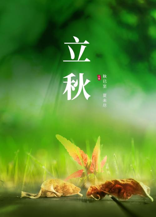 《九江文学社：北京头条》《甲辰立秋节气》专刊（图8）