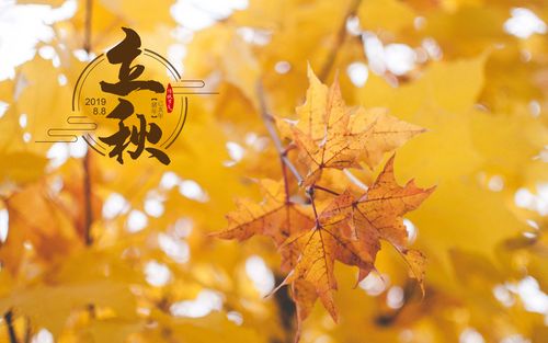 《九江文学社：北京头条》《甲辰立秋节气》专刊（图13）