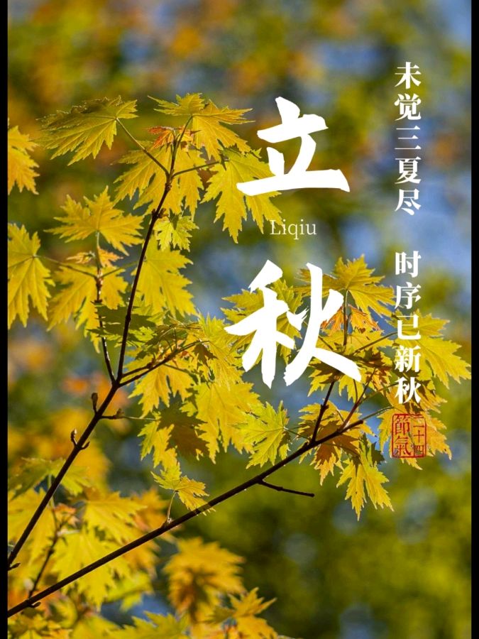 《九江文学社：北京头条》《甲辰立秋节气》专刊（图25）