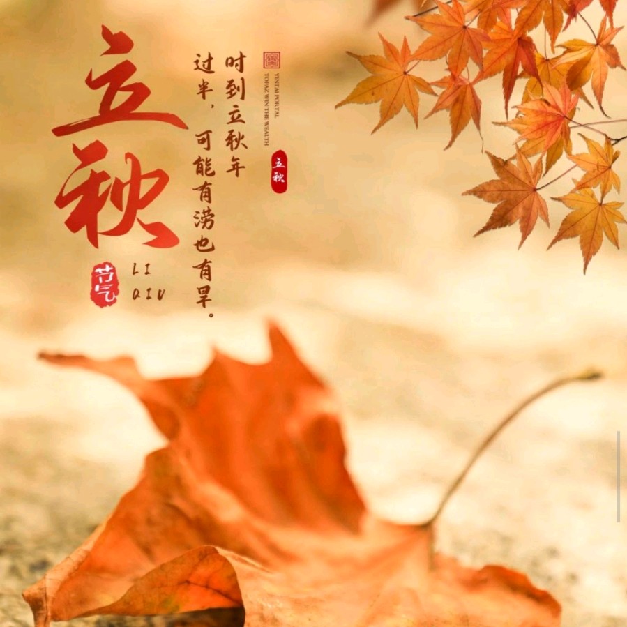《九江文学社：北京头条》《甲辰立秋节气》专刊（图36）