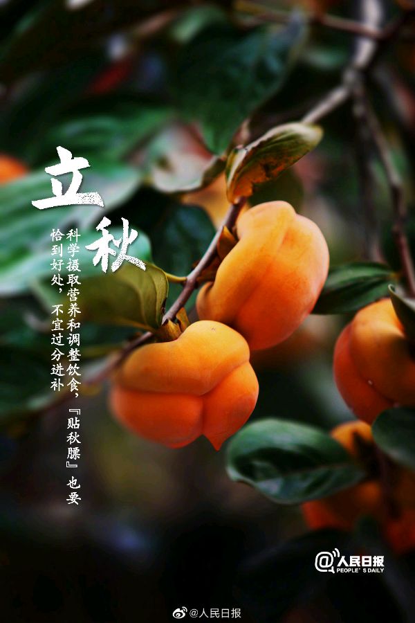 包美荣的《南歌子 . 立秋》