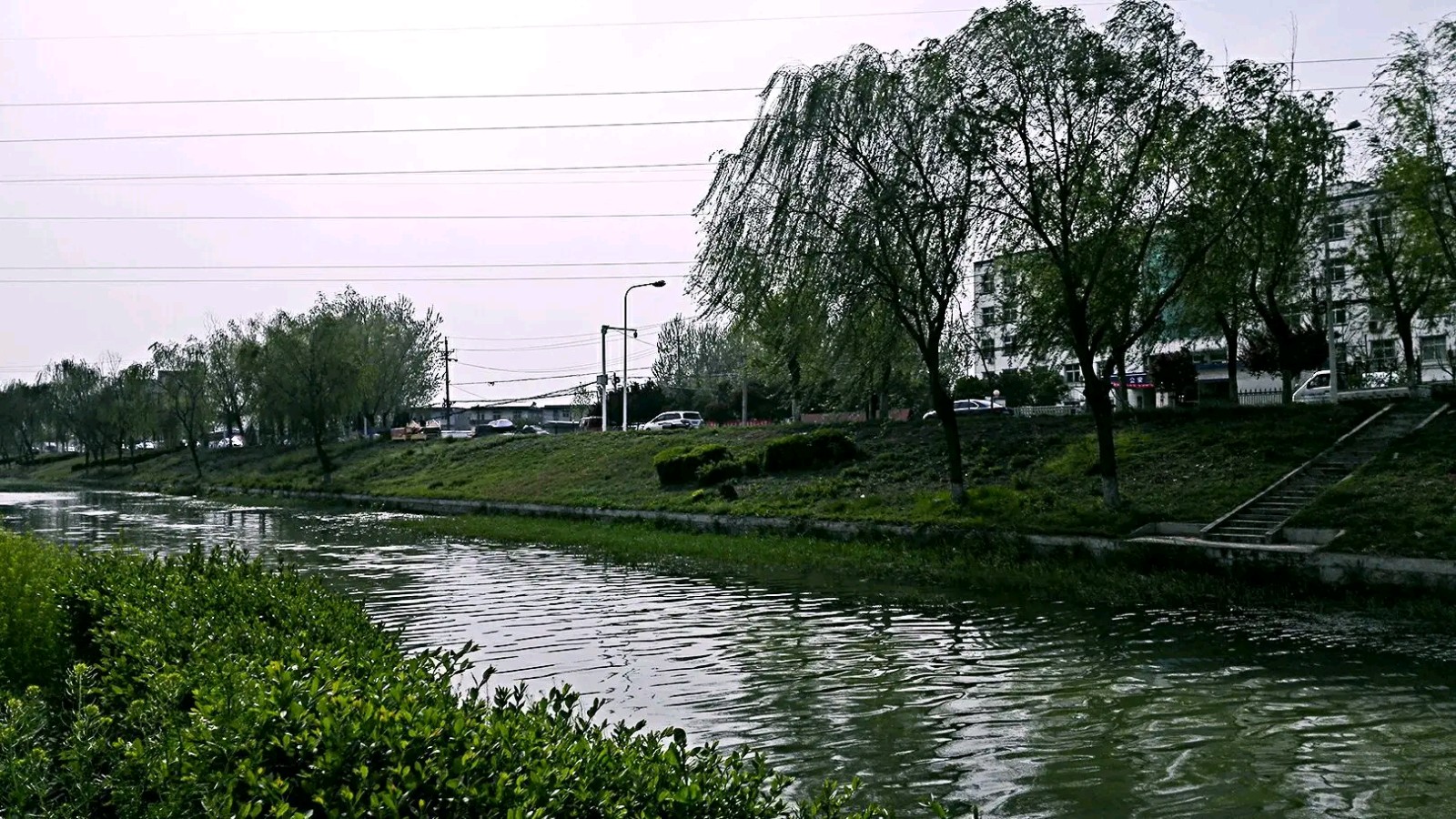 欣赏胡旭军老师忆汉月词两首（图3）