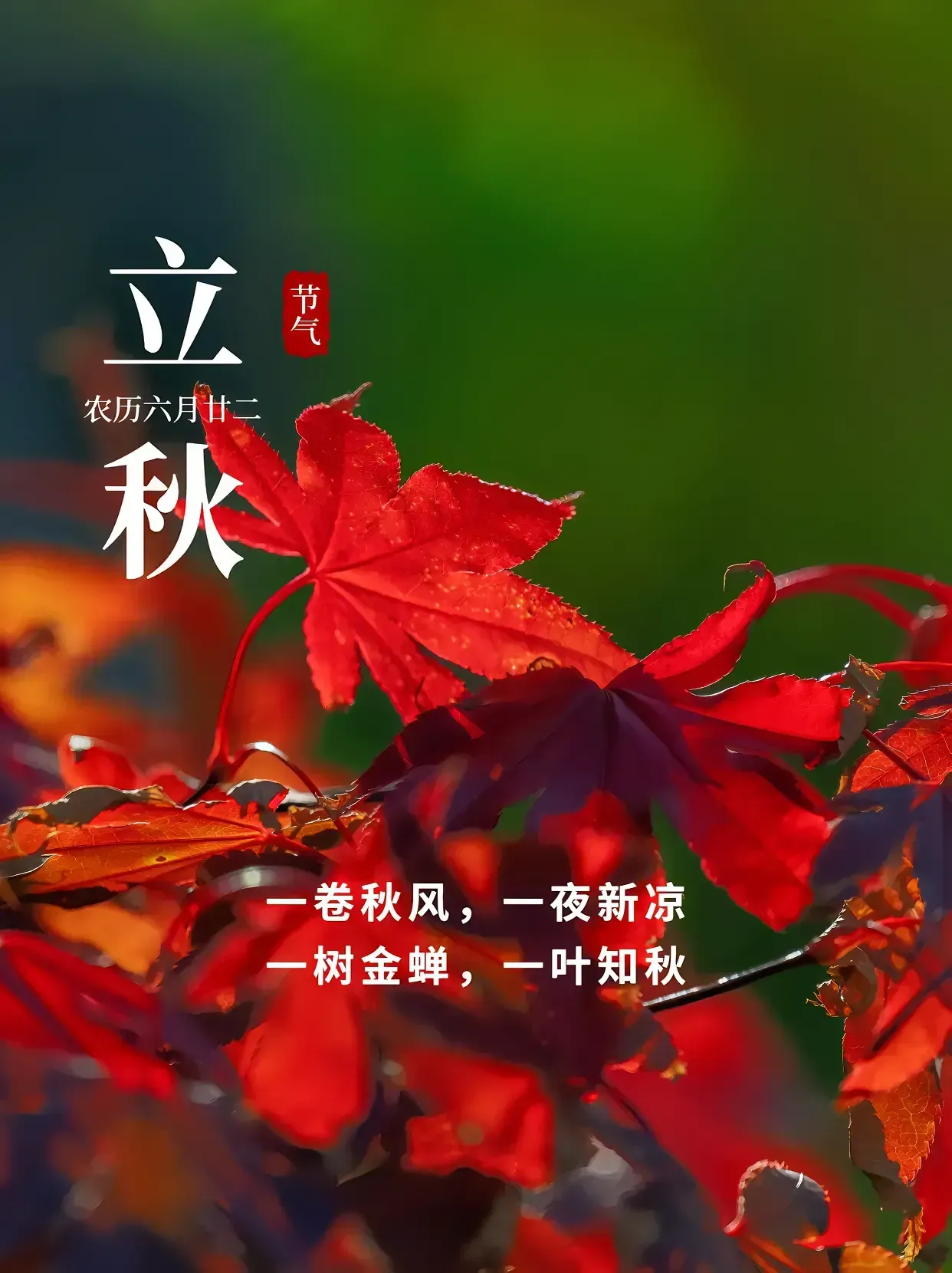 【荣耀中国】——周刊第103期(图3)