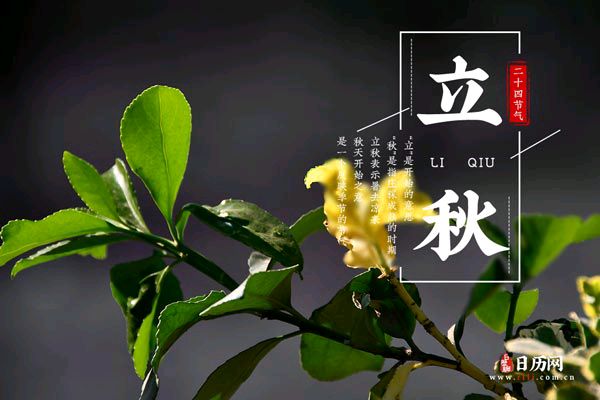 文/刘连芳（图3）