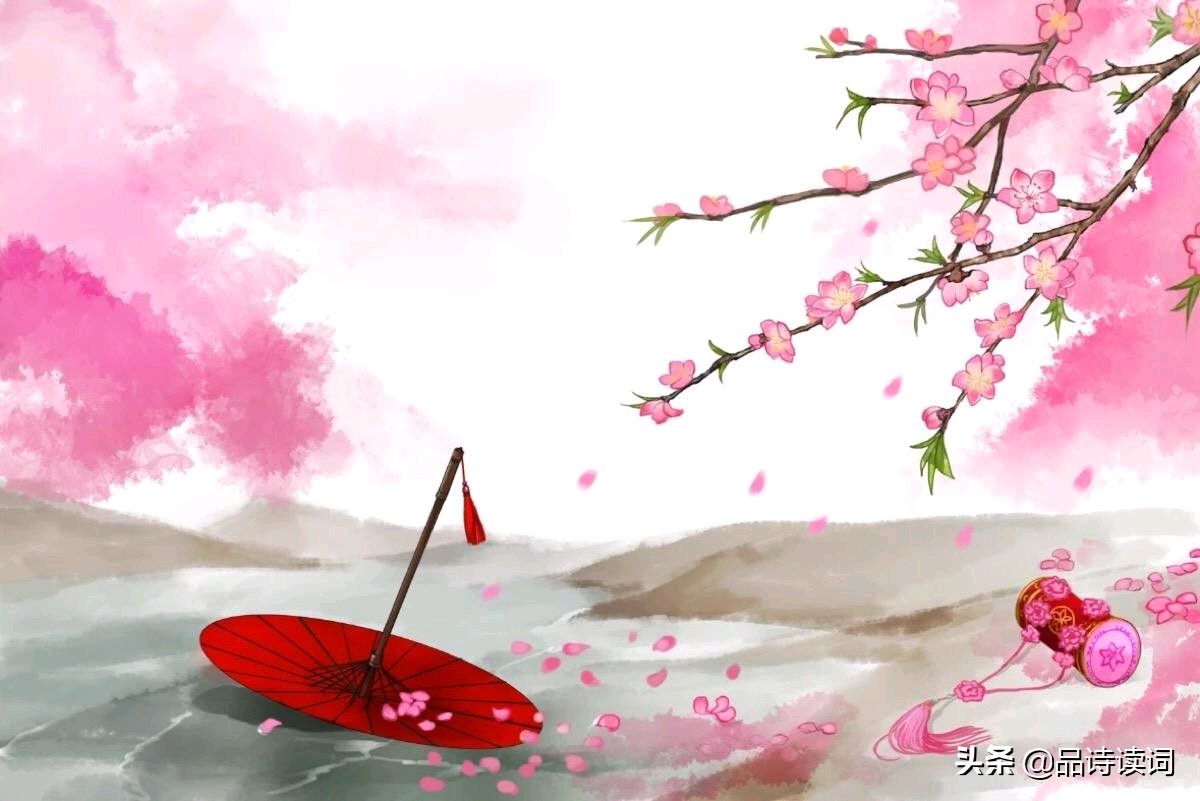 聆听 ‖ 蕙质兰心朗诵《后来的你，如何回忆我》作者/西子（图4）