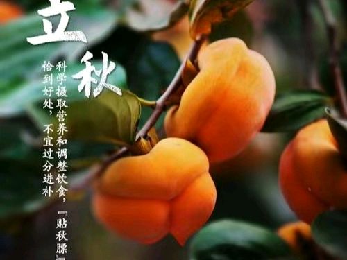 《许峰诗歌研究院》诗词歌赋欣赏【总第178期】（图10）