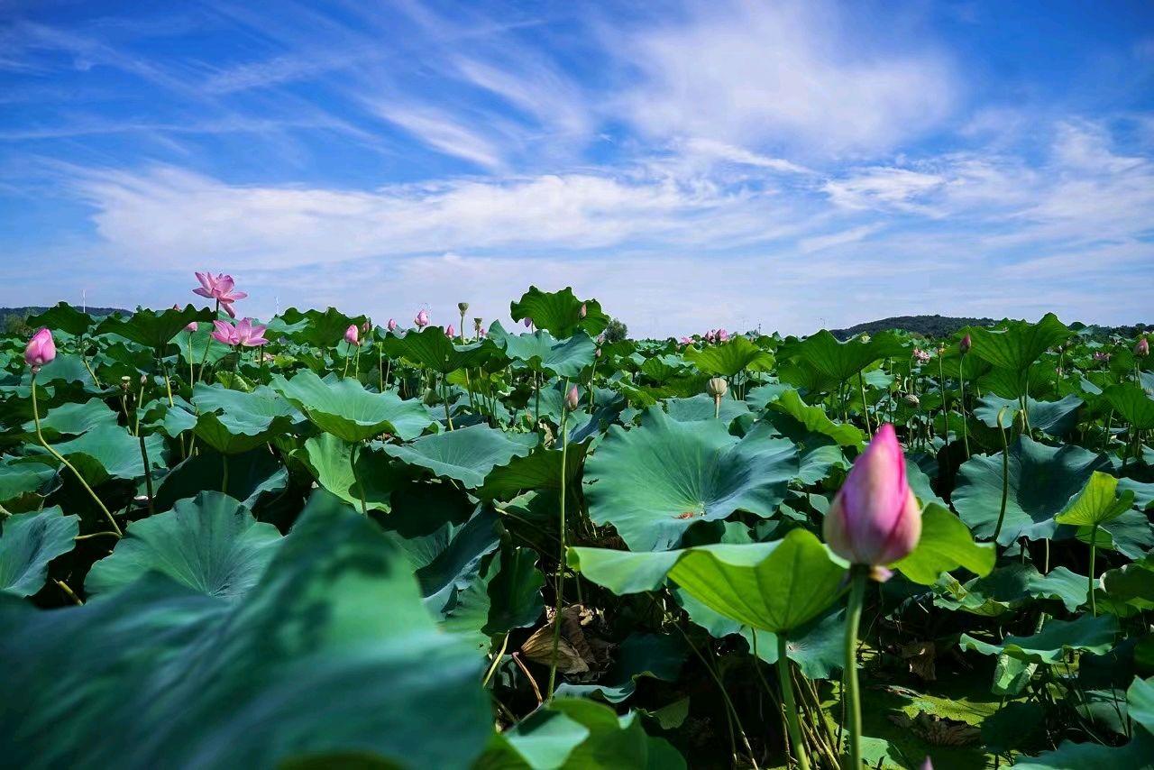 《许峰诗歌研究院》诗词歌赋欣赏【总第178期】（图15）