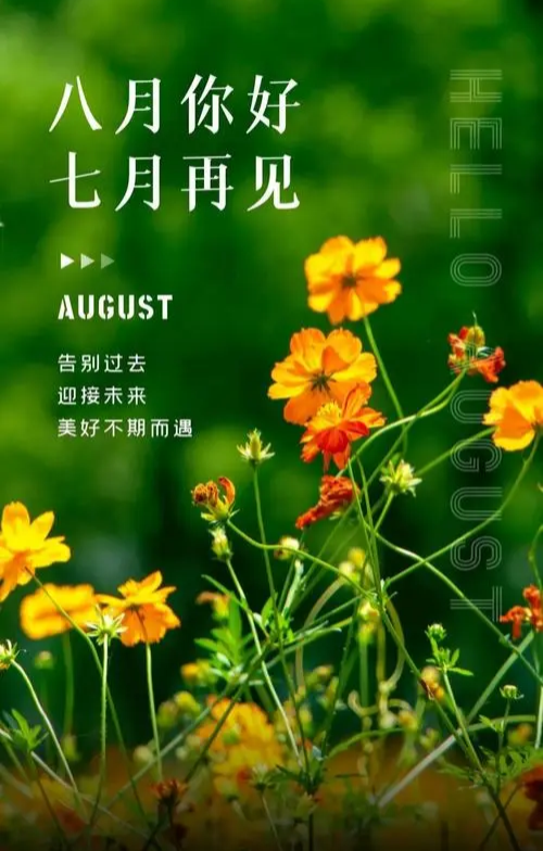 【新山东文学社】《致八月》作者/云逍遥 主播/海豚（图3）