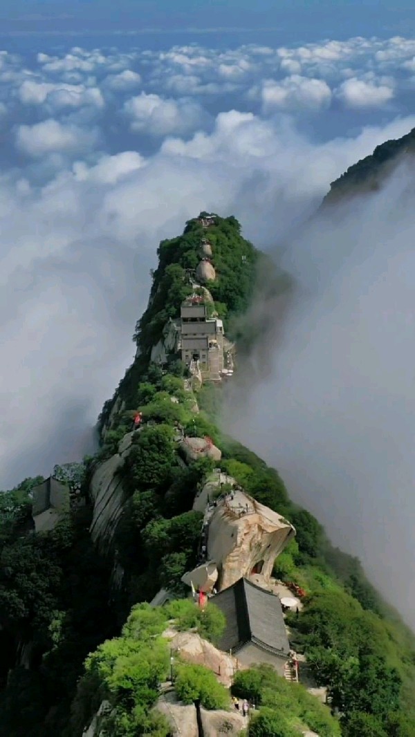 七律-咏华山～诗||旗袍（图9）