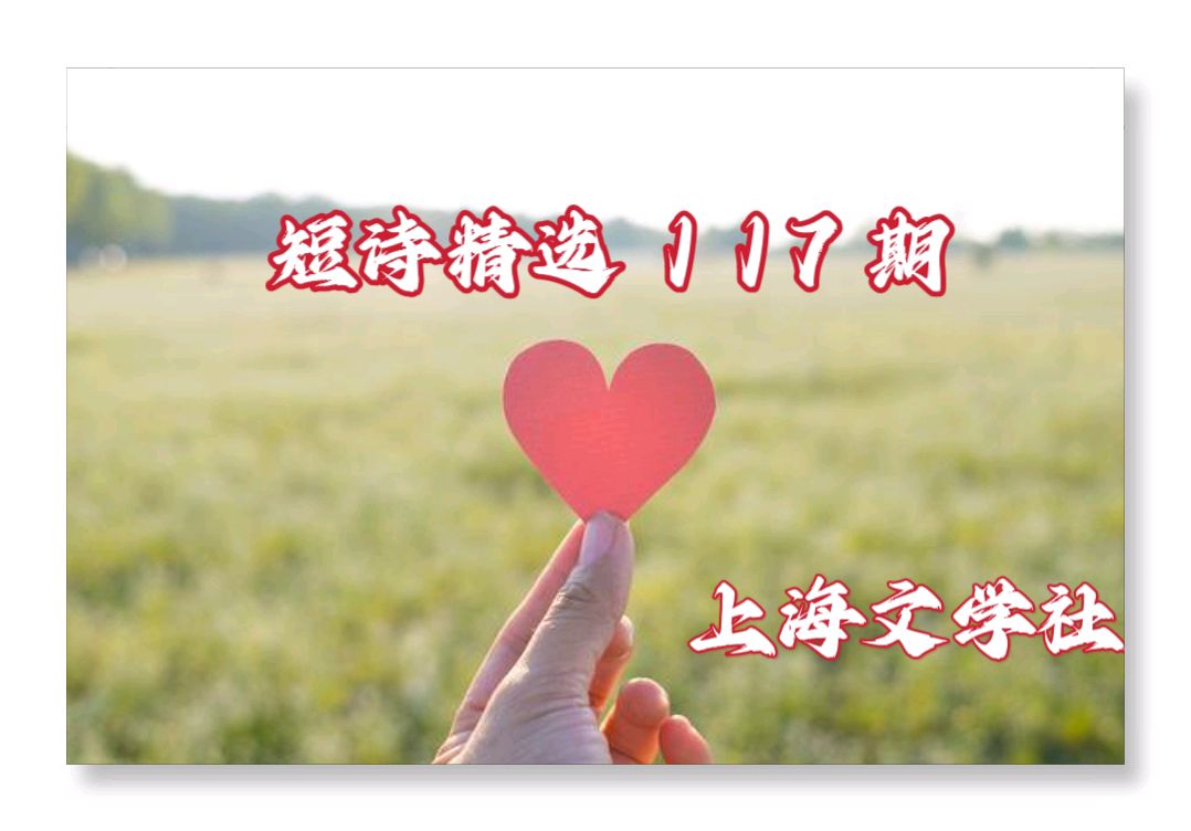 【上海文学社·诗生活】短诗精选 117 期