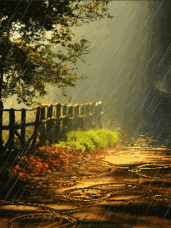 五绝·立秋逢雨（文/张华兴）……莲叶之珠文学社