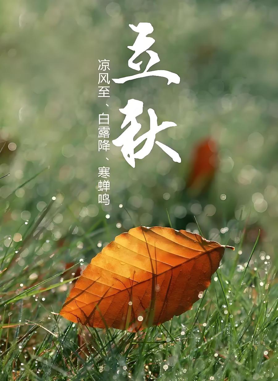 【国风燕赵诗社】第13期综合期刊与您共享!(图22)