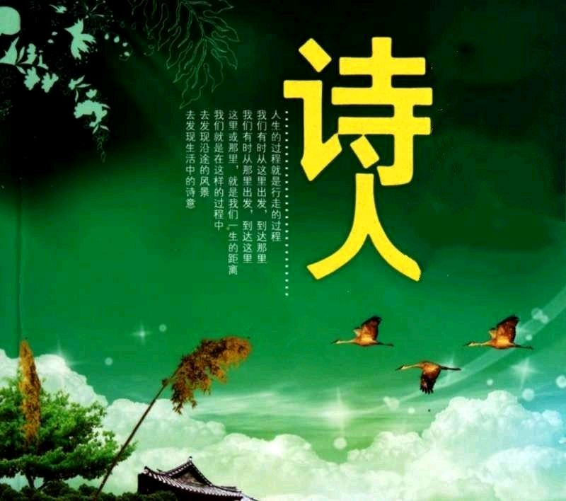 《在路上》作者:牛伟红【主播:长弓雅士】【桃源国际诗歌文化传媒】用声音传递温暖以诵读致敬人生♬（图8）