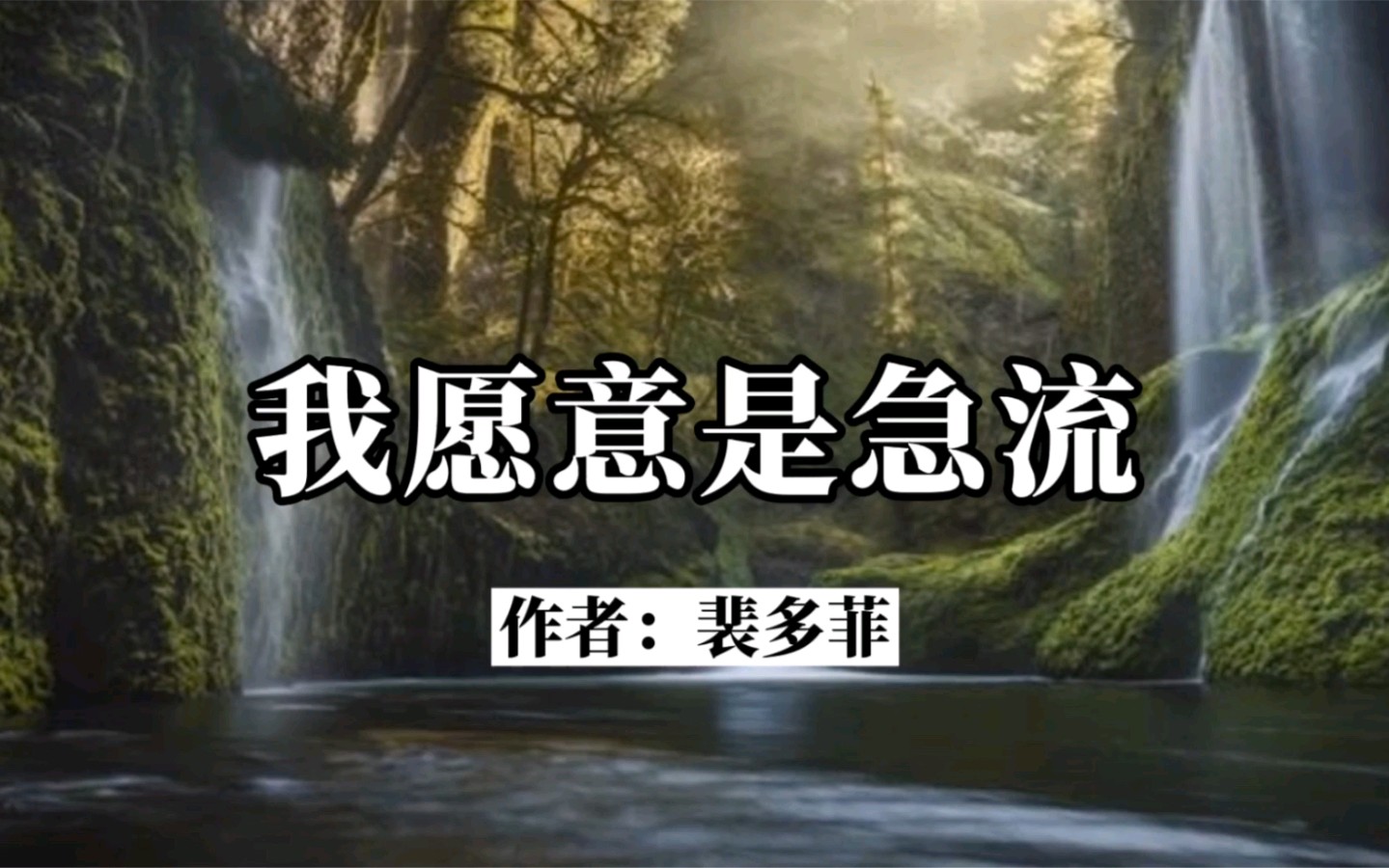 聆听 ‖ 老马朗诵《我愿意是激流》作者/裴多菲（图4）