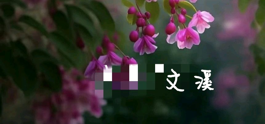 北京古塔读书会 ‖ 每周一首古诗词诵读活动【2024年8月11日】049期（图47）