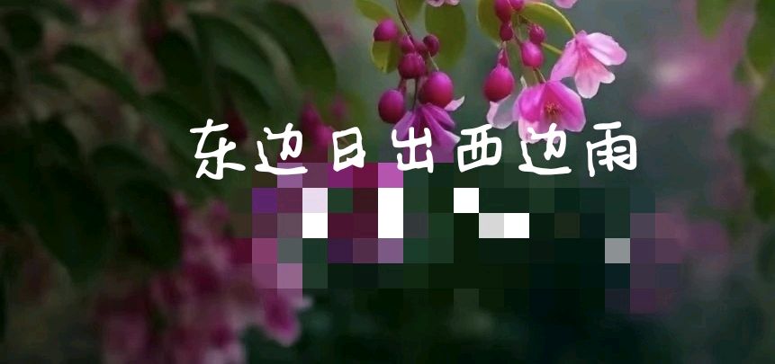 北京古塔读书会 ‖ 每周一首古诗词诵读活动【2024年8月11日】049期（图52）