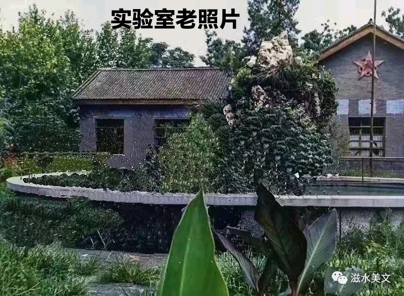 赵長民(旭日东升)∥建议把蓝田县城关中学恢复更名为《蓝田中学》始末(图6)