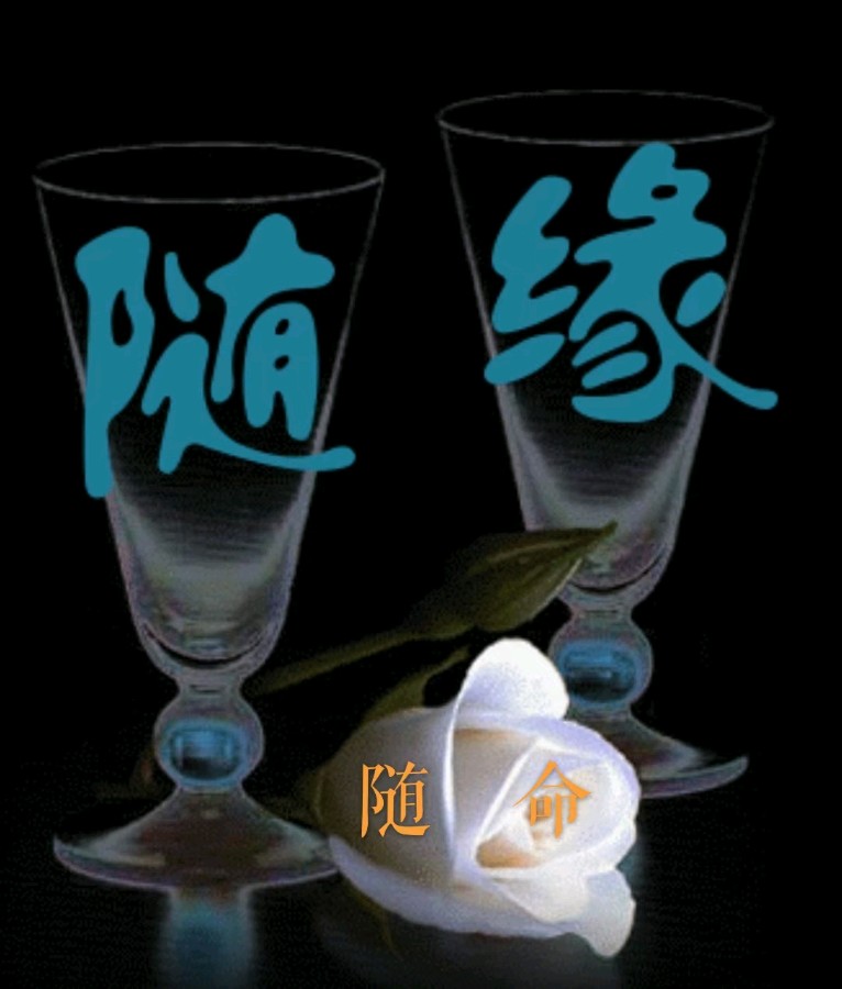 韩庚的《随缘随命》