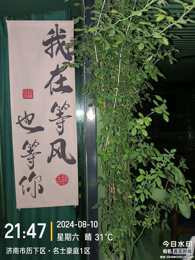 《我在等风也在等你》
