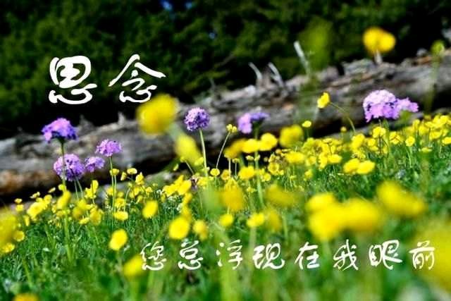 【重磅推出七夕专题】“农民诗人”曹南强//七夕怀思[感怀系列作品展]（图7）