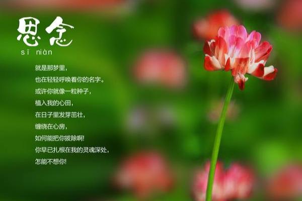 【重磅推出七夕专题】“农民诗人”曹南强//七夕怀思[感怀系列作品展]（图9）