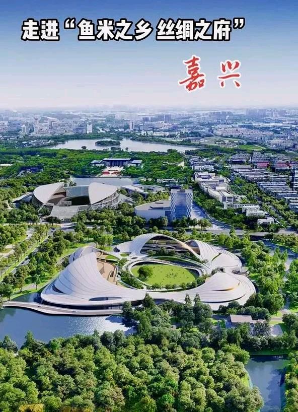 散文-嘉兴印象记~文||夏峻(图9)