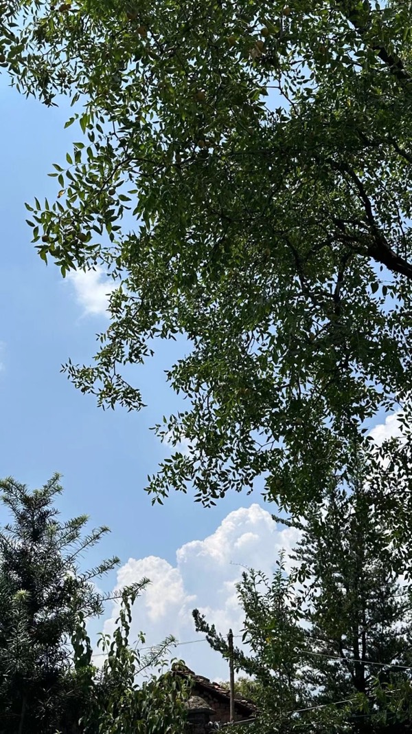我，盼望严寒的冬天I古 梁