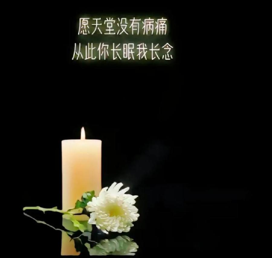 【国风燕赵诗社】邸刚老师散文专辑与您共享!(图18)