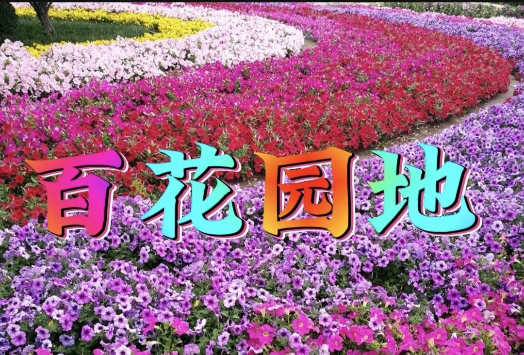 《百花园地》诗词合刊（图8）