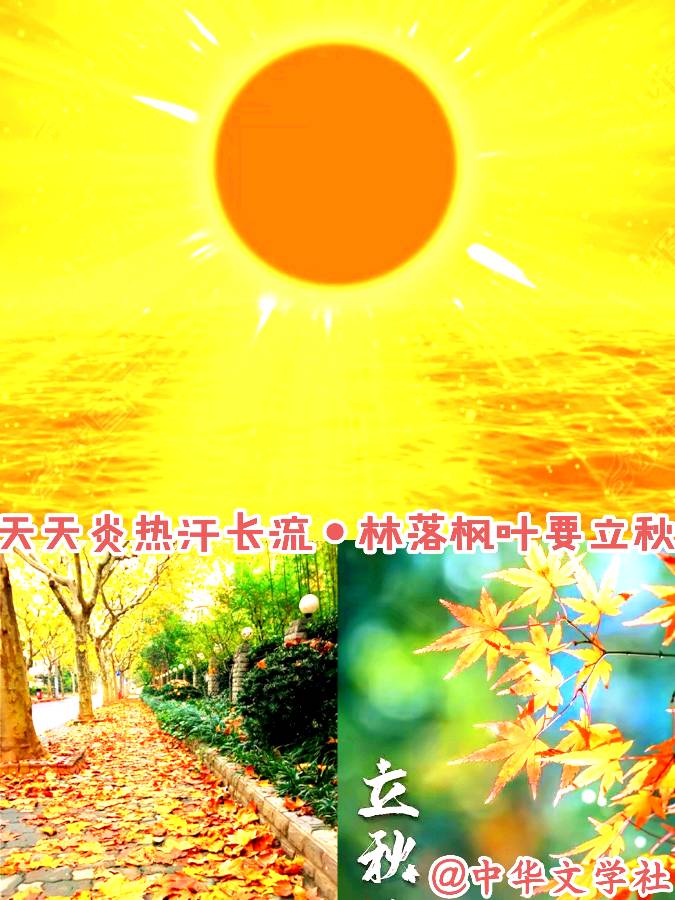 《中华头条北京版》张新成主编郸城县诗词楹联学会老年大学县医院分会组诗总第16期〖吟秋专题〗展示 主播：海河儿女（图16）